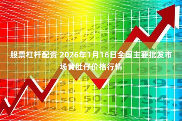 股票杠杆配资 2026年1月16日全国主要批发市场黄肚仔价格行情